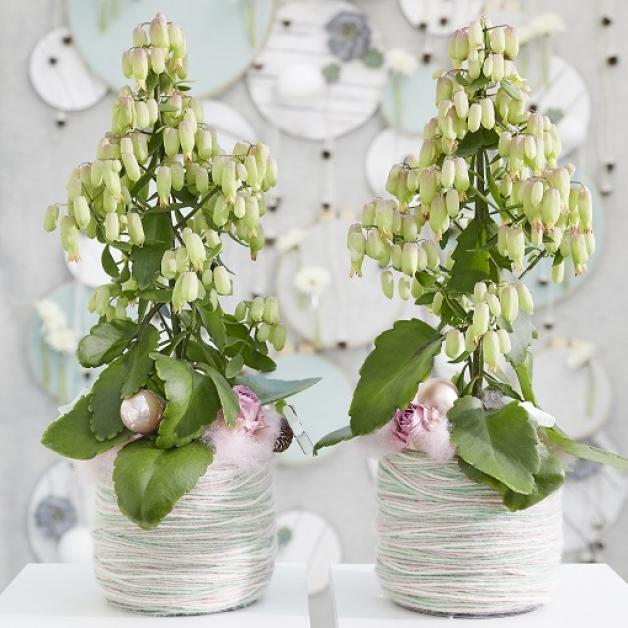 Inspiration craft it book it